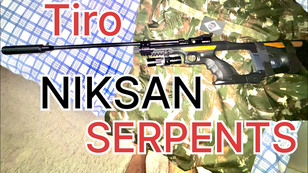 ⚠️TIRO !!!!⚠️NIKSAN Serpente S 5.5 CO2: POTÊNCIA e PRECISÃO em AÇÃO! 