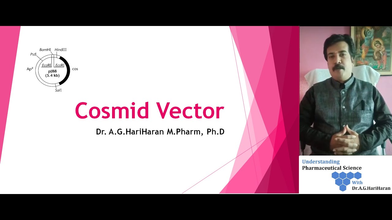Cosmid Vector