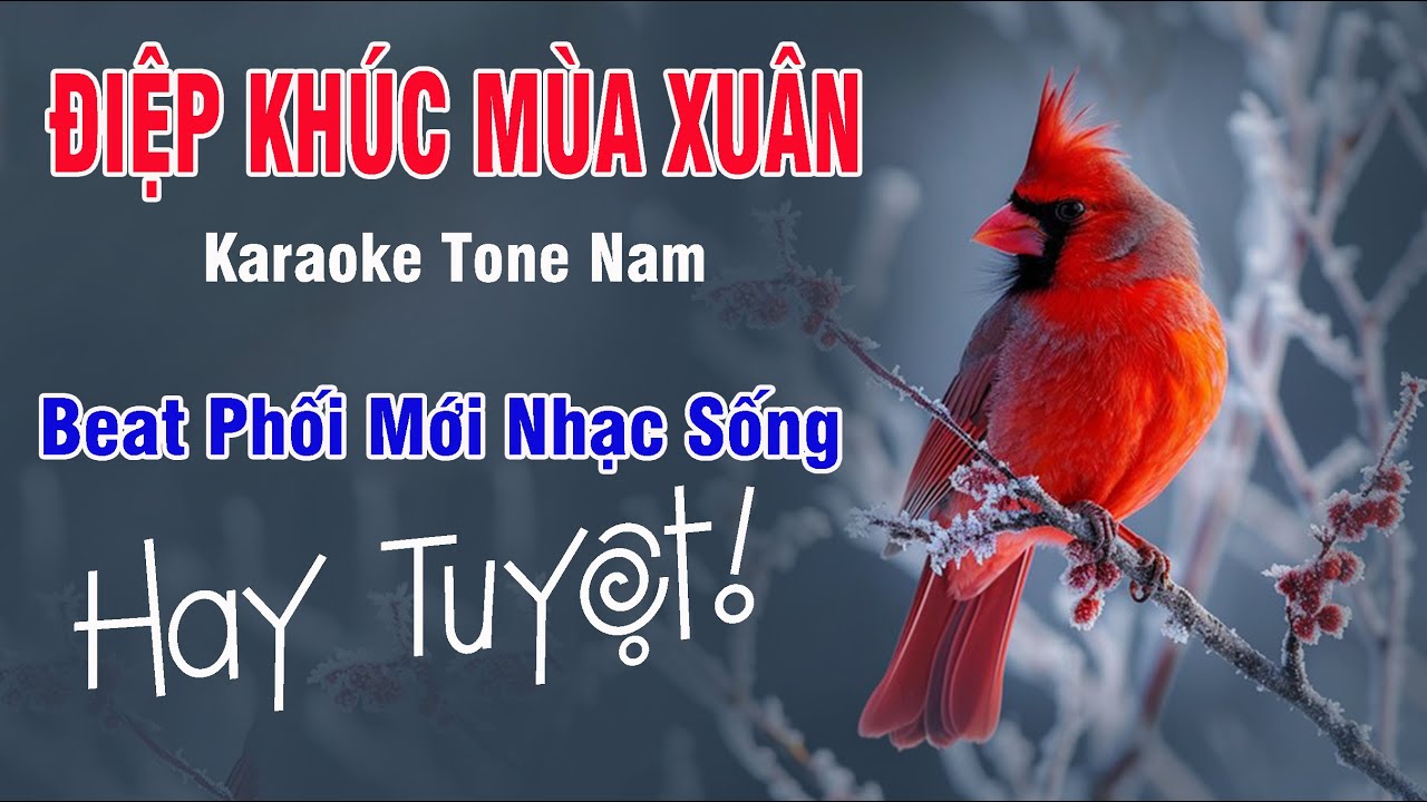 Karaoke ĐIỆP KHÚC MÙA XUÂN - Tone Nam -  Nhạc phối mới cực hay.