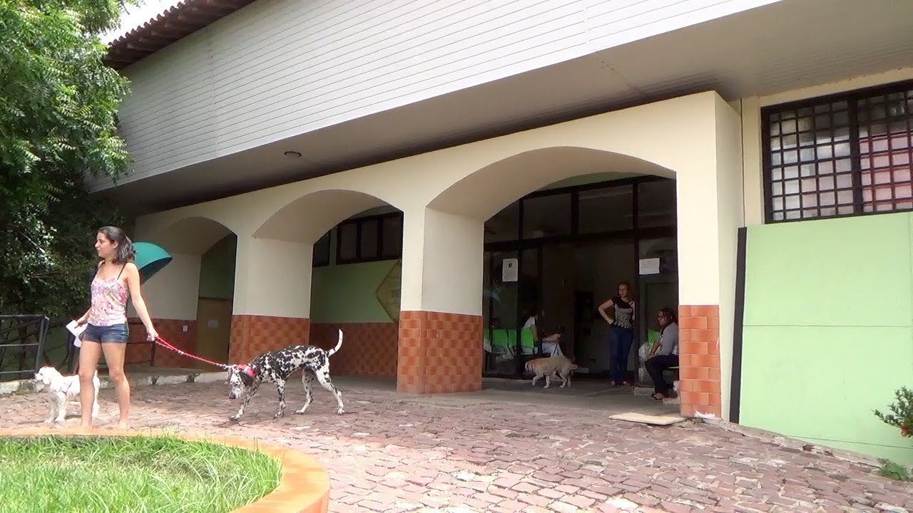 O Hospital Veterinário Universitário da UFPI completa 15 anos