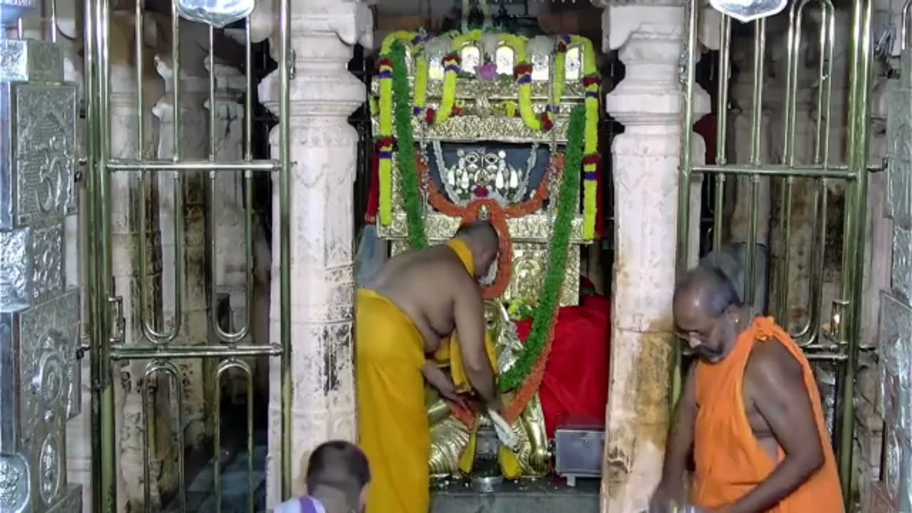 ರಾಯರ ಇಂದಿನ ಮಹಾ ಮಂಗಳಾರತಿ...🙏 29-9-2024