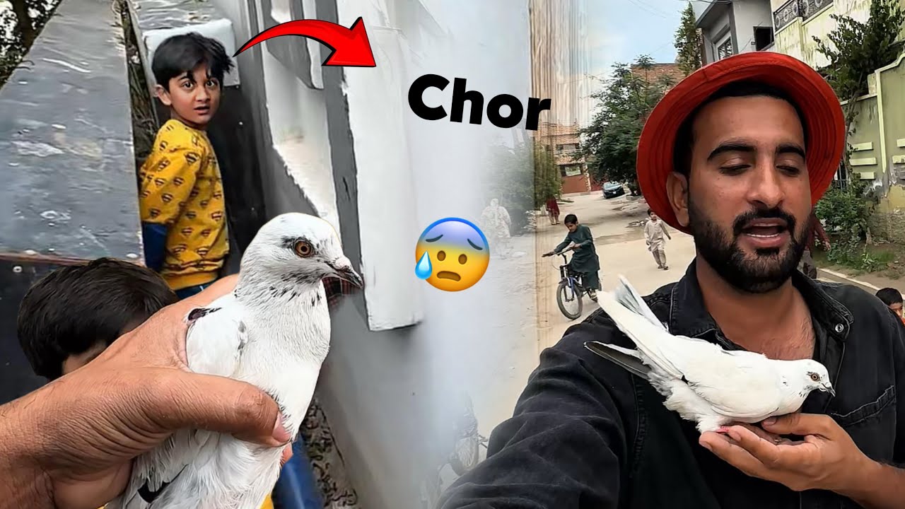 Mini Zoo Main Kbooter Chor Ane Lge😰