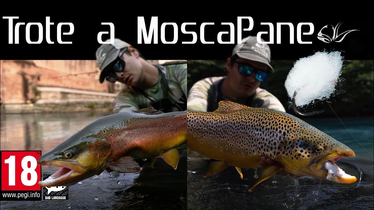TROTE ENORMI a MoscaPane a SpinFly, un Trucco per Pesci da record! [TROTONI in Risorgiva EP.2]