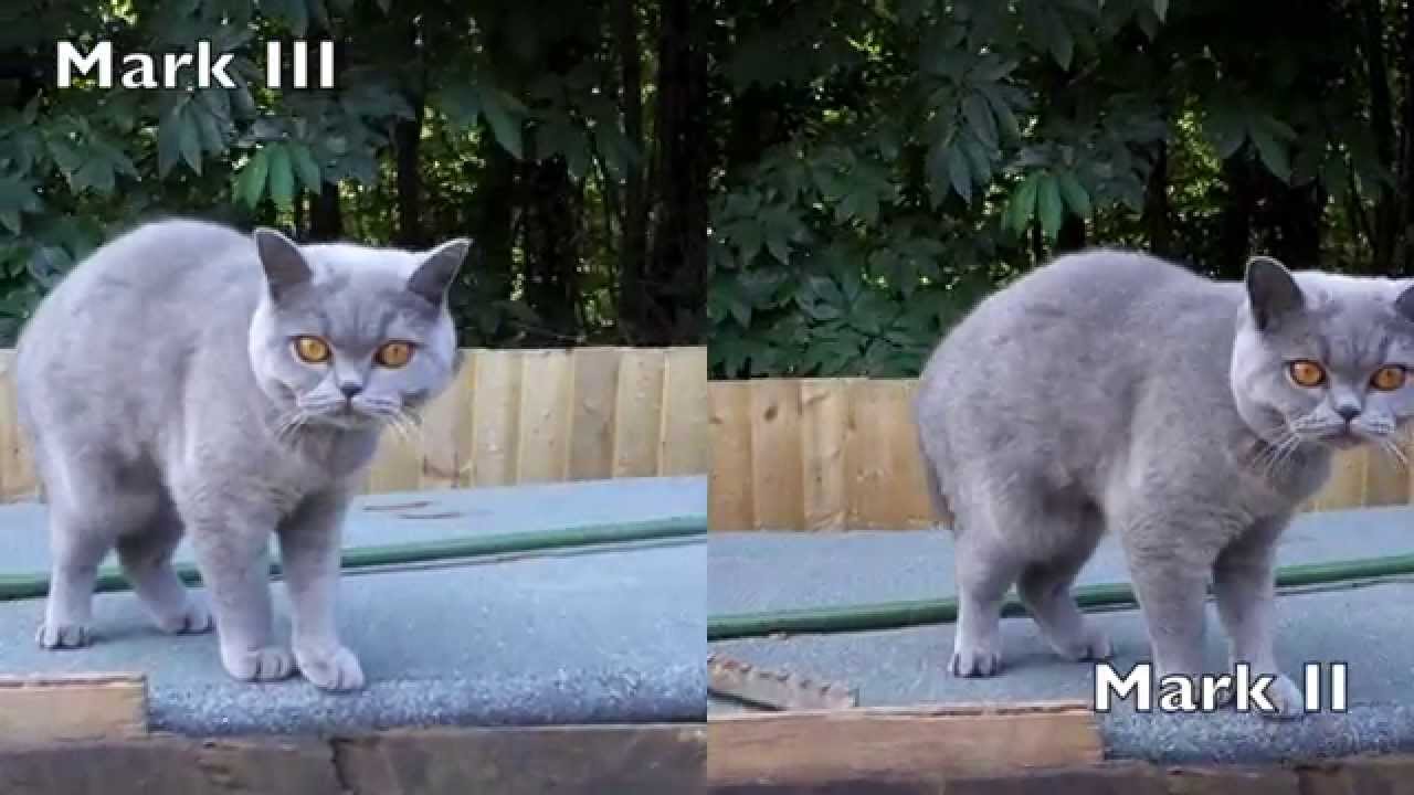 Sony RX100 Mark II vs III Video Quality
