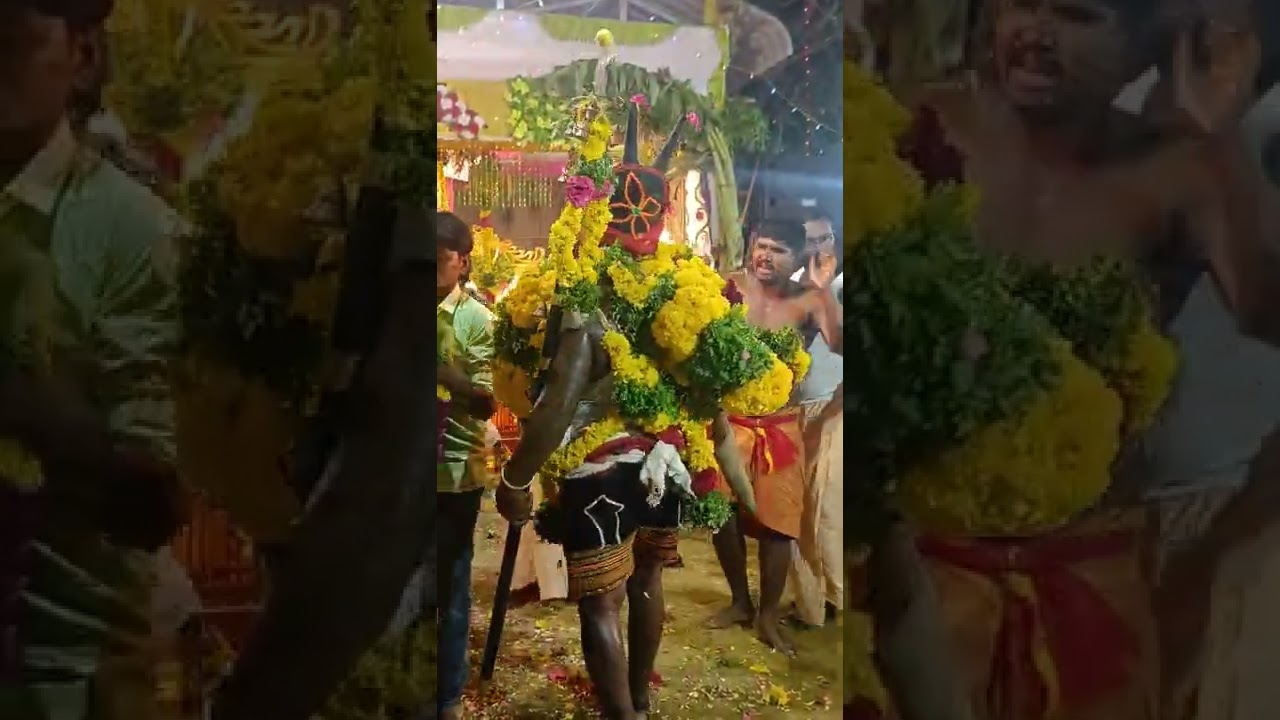 முனியசாமி கோவில் கொடை விழா
