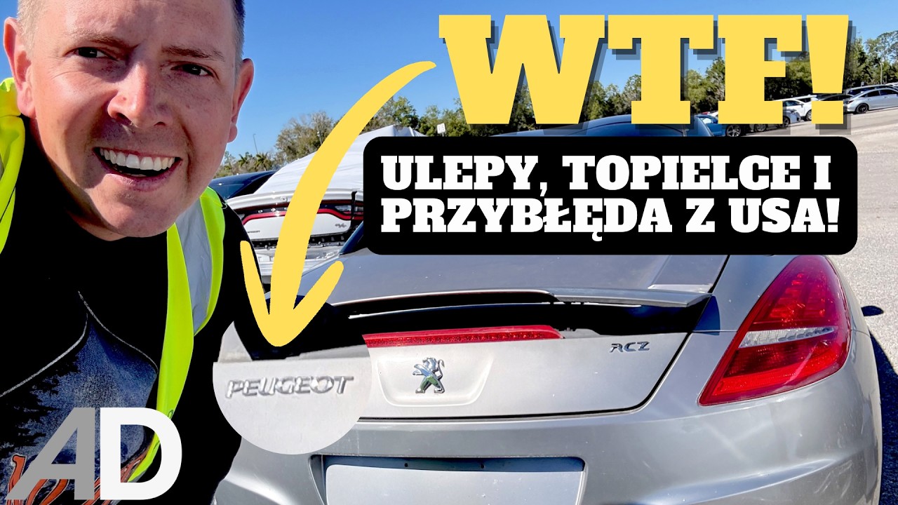 OGLĘDZINY + CENY AUT na aukcji w West Palm Beach - ulepy, topielce, skrzywdzona perełka i przybłęda!