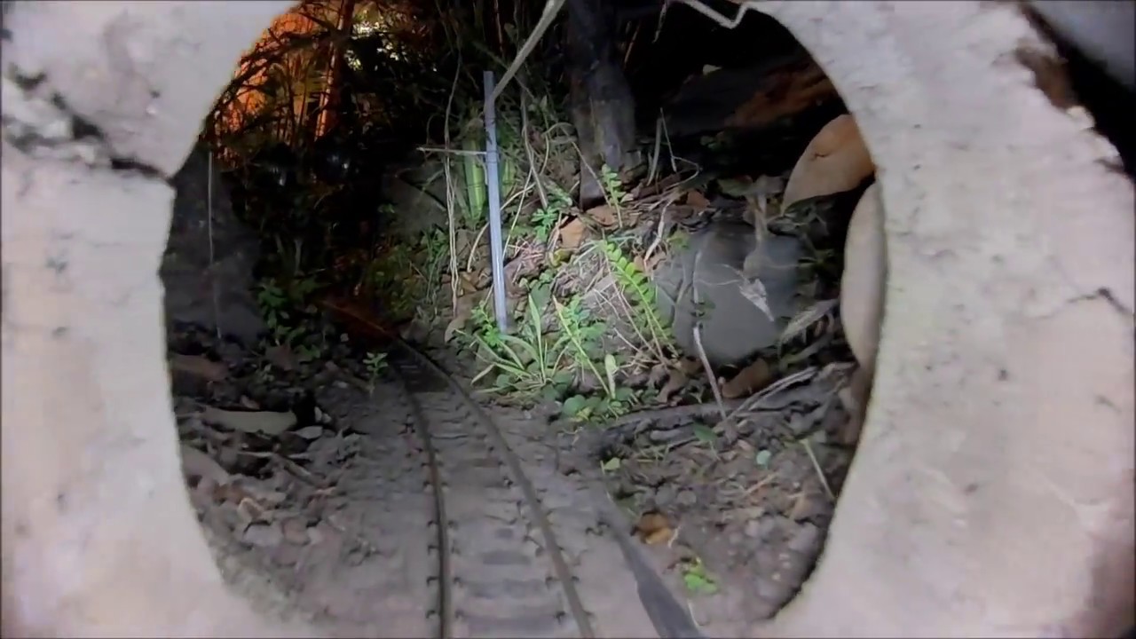 Trip to Currawong loop