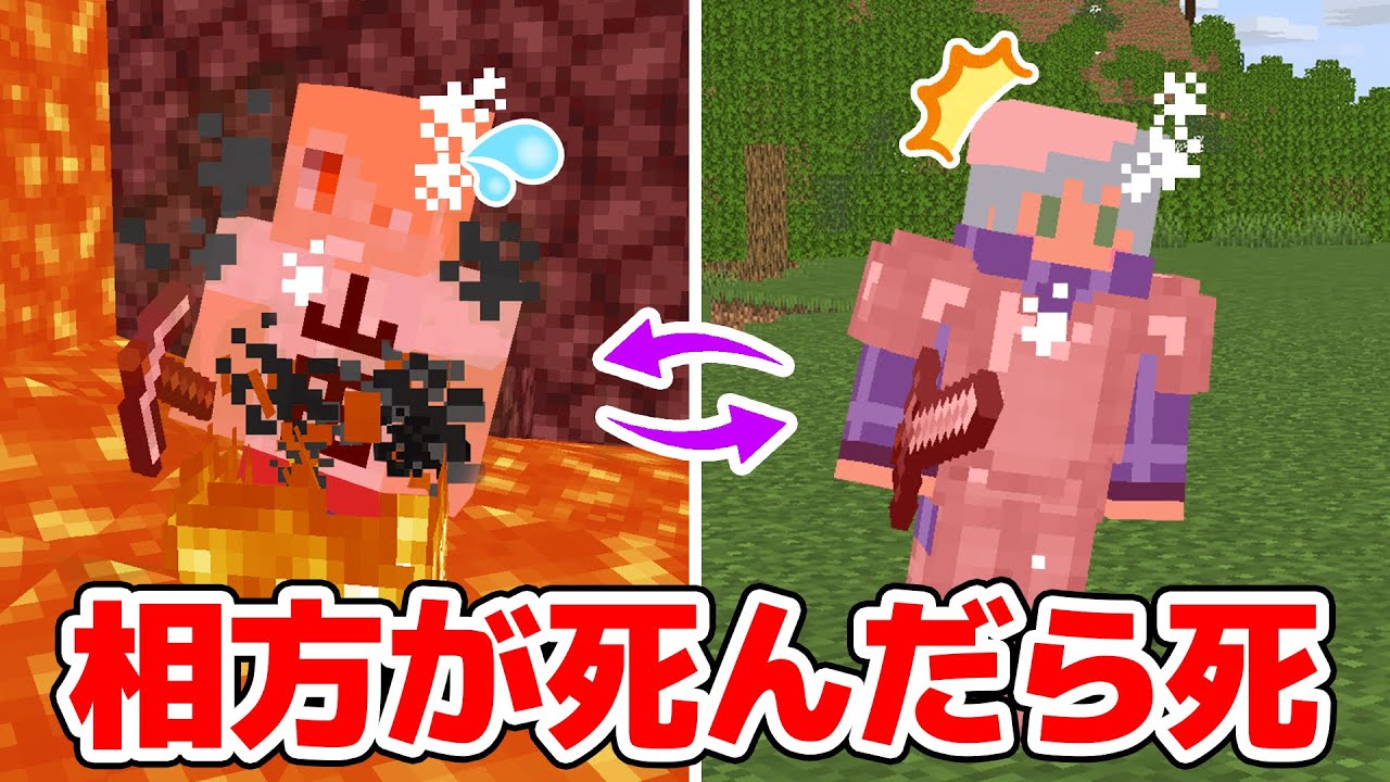 【マインクラフト😜】1人が死んだら相方も死ななければならないpvp「純愛pvp」【マイクラ実況】