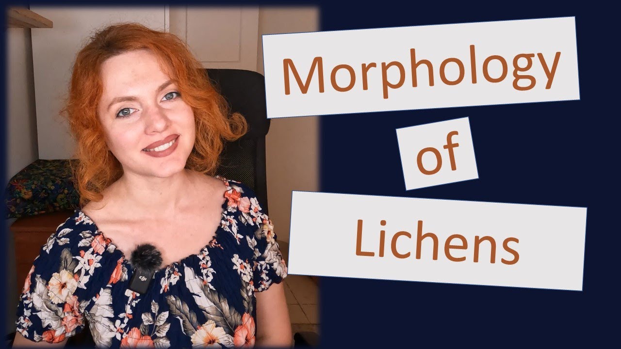 Morphology of lichens: crustose, leprose, foliose, fruticose, squamulose, gelatinous, filamentous