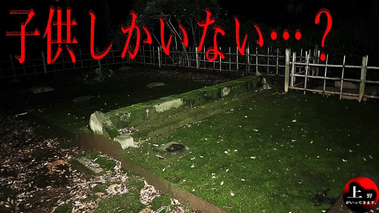 【心霊ガチ検証】※起きた怪奇現象※【八王子の怖い場所 第２章】