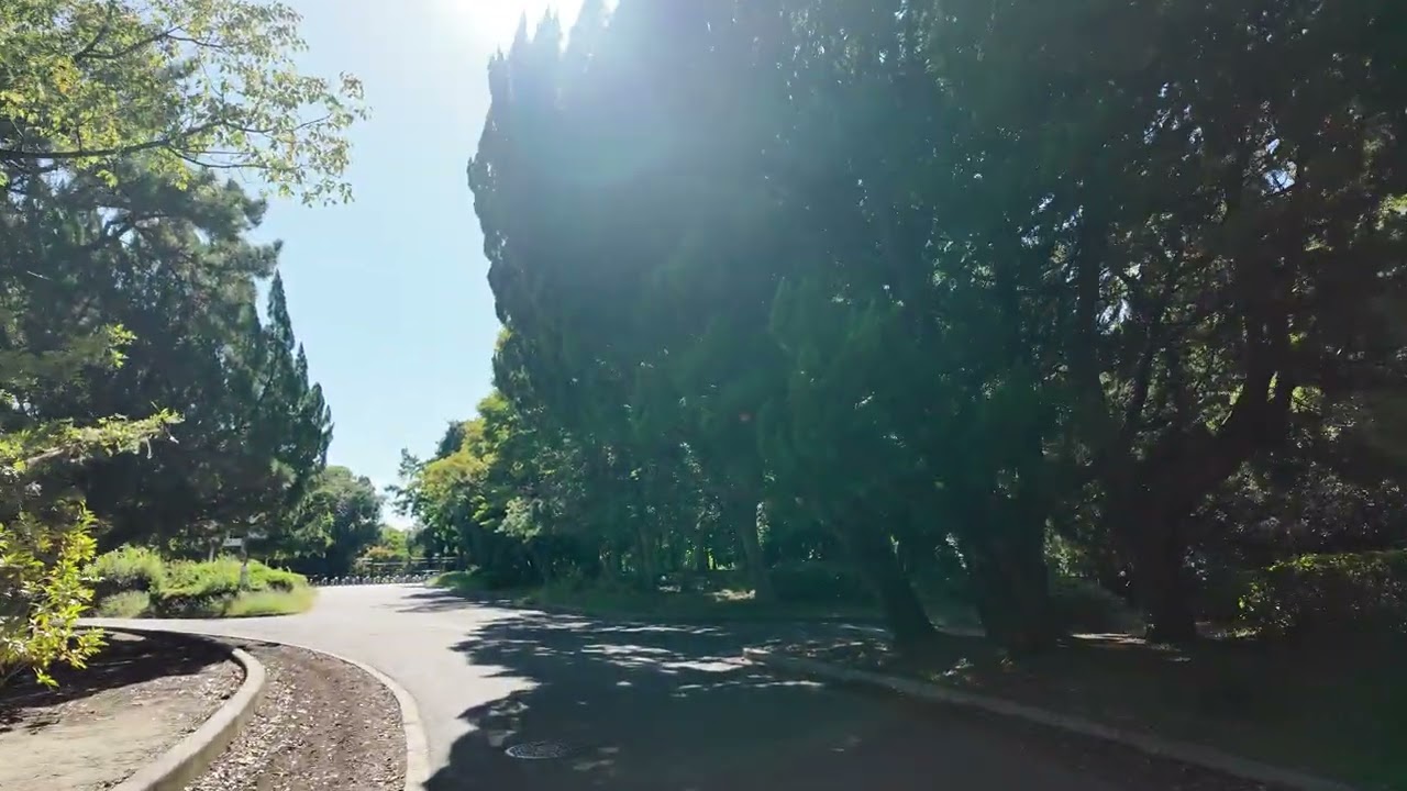 【4K】①Walk in Hattori Ryokuchi Park｜Osaka Suburban Stroll &ndash; October 2025 / 大阪・服部緑地を歩く｜2025年10月