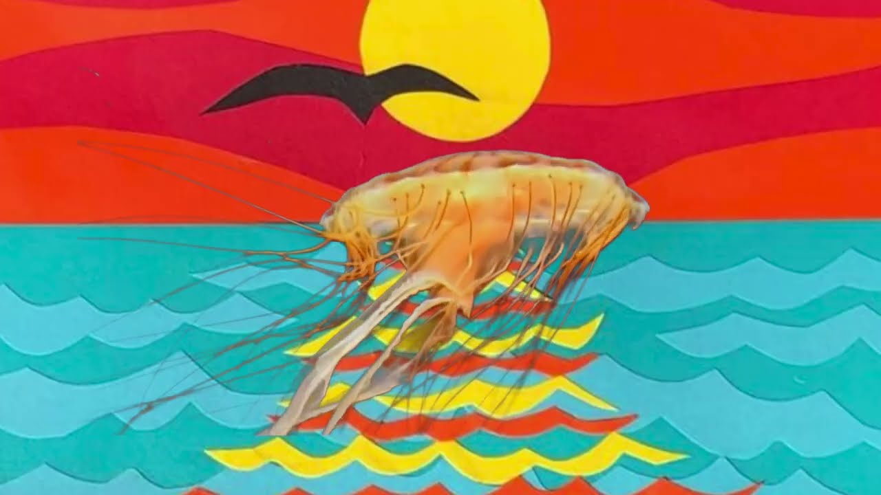 Allah-Las - Jelly (Official Visualizer)