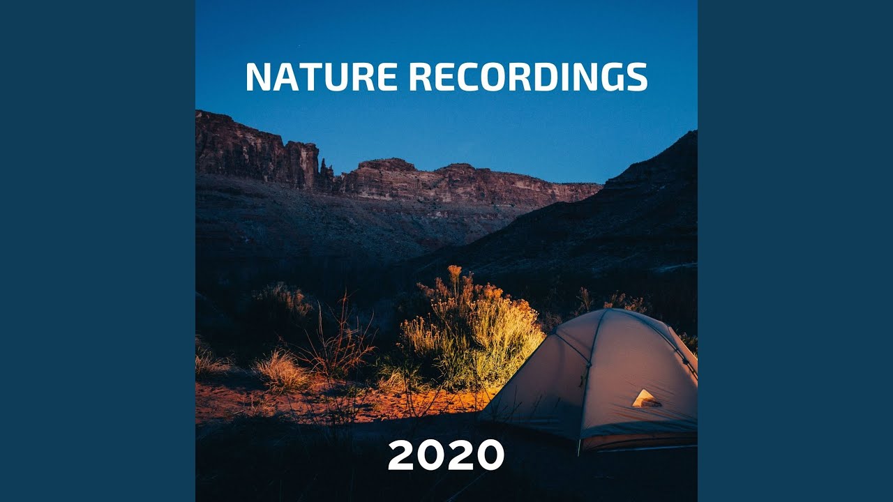 Nature Recordings 2020