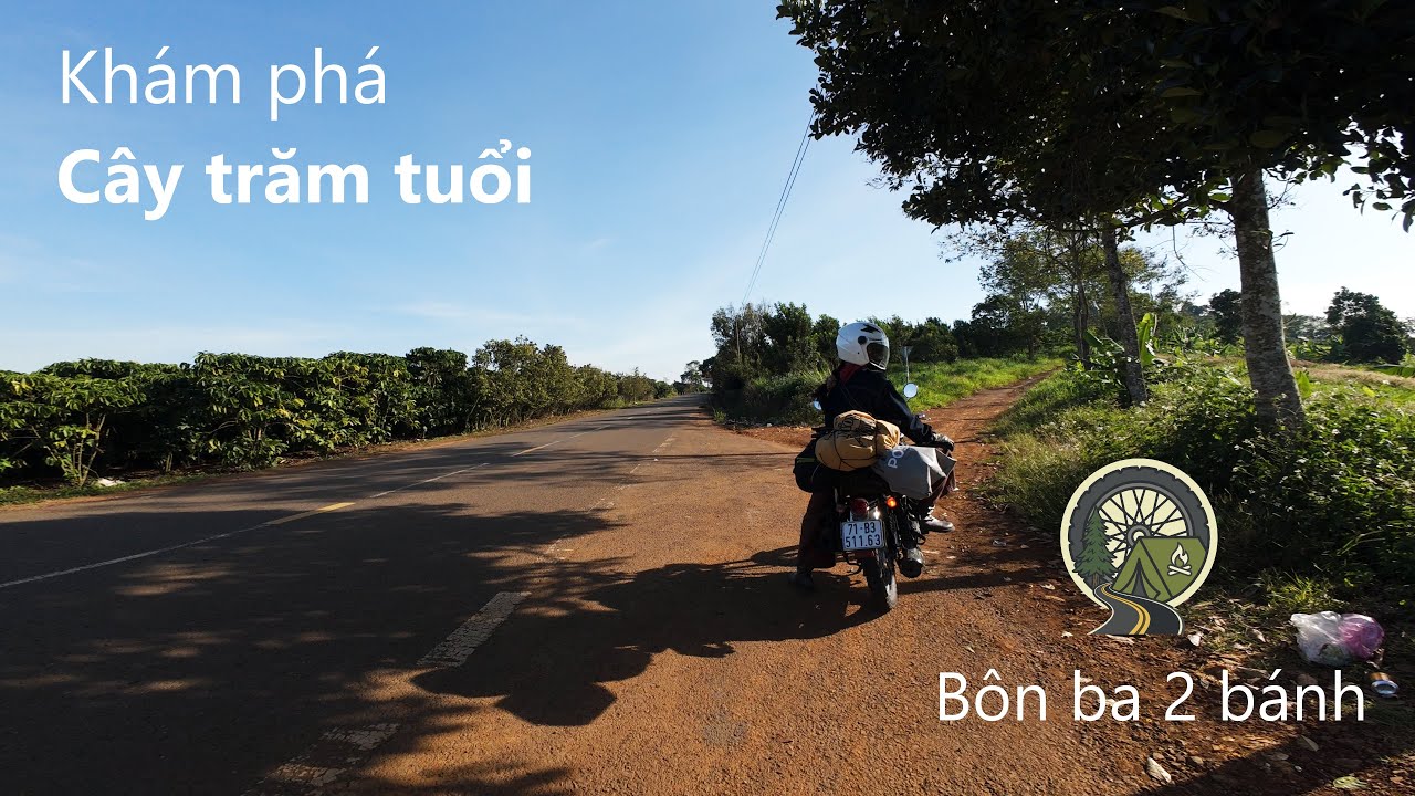 Tập 1 Phượt Đà Lạt cuối năm | DT725 | Khám phá cây trăm tuổi | Vietnam motocycle trip