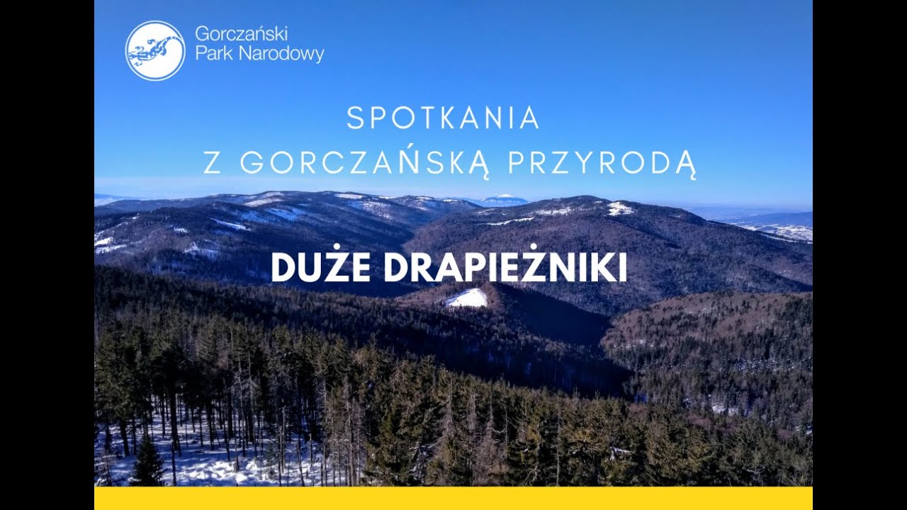 Spotkania z gorczańską przyrodą - 