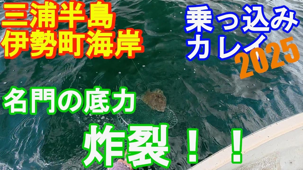 ♯330【伊勢町海岸ボート釣り】大爆釣！！三浦半島の乗っ込みカレイ2025