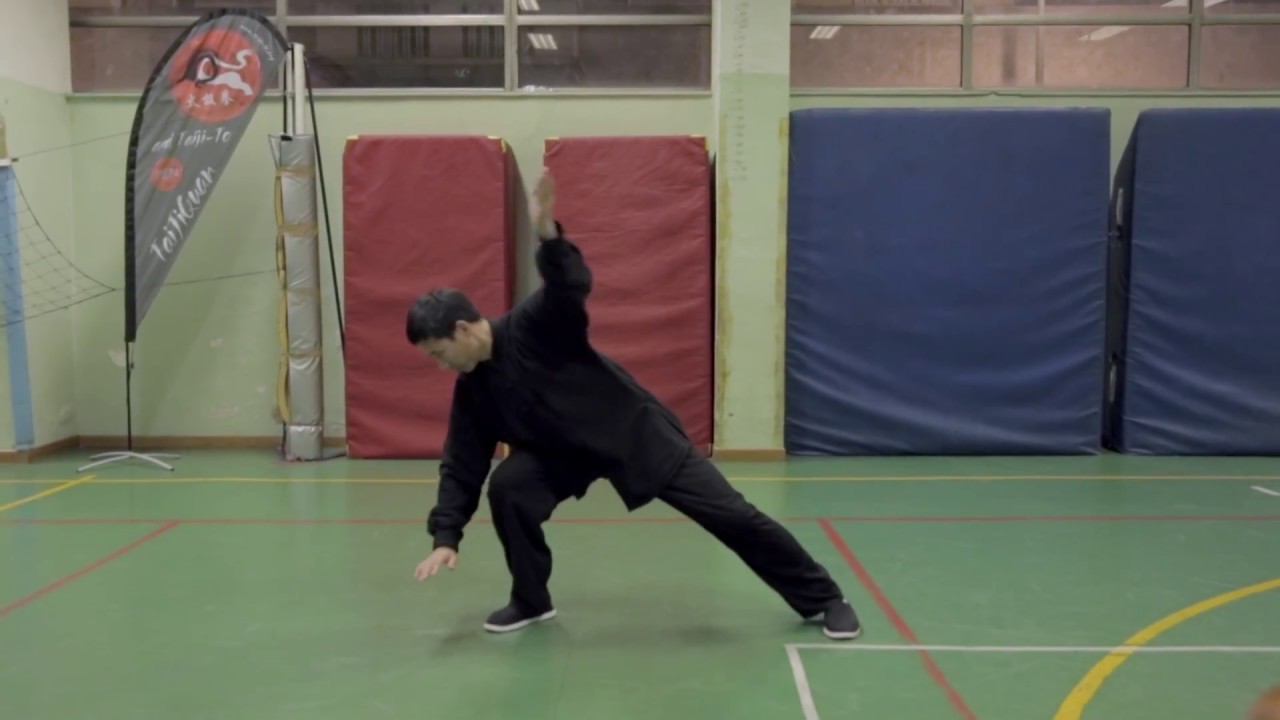 Chen Bing TaiJiQuan LaoJia prima parte Torino (IT) 2/3/2017