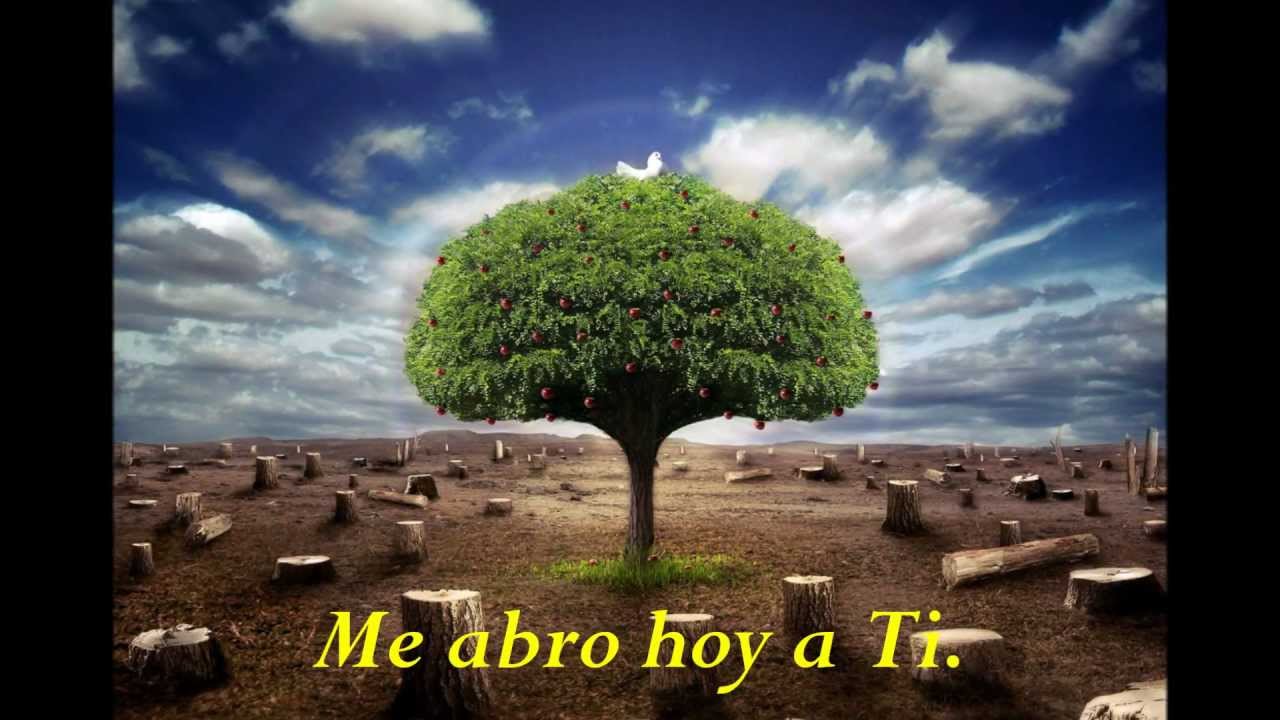 Quiero tocarte Señor