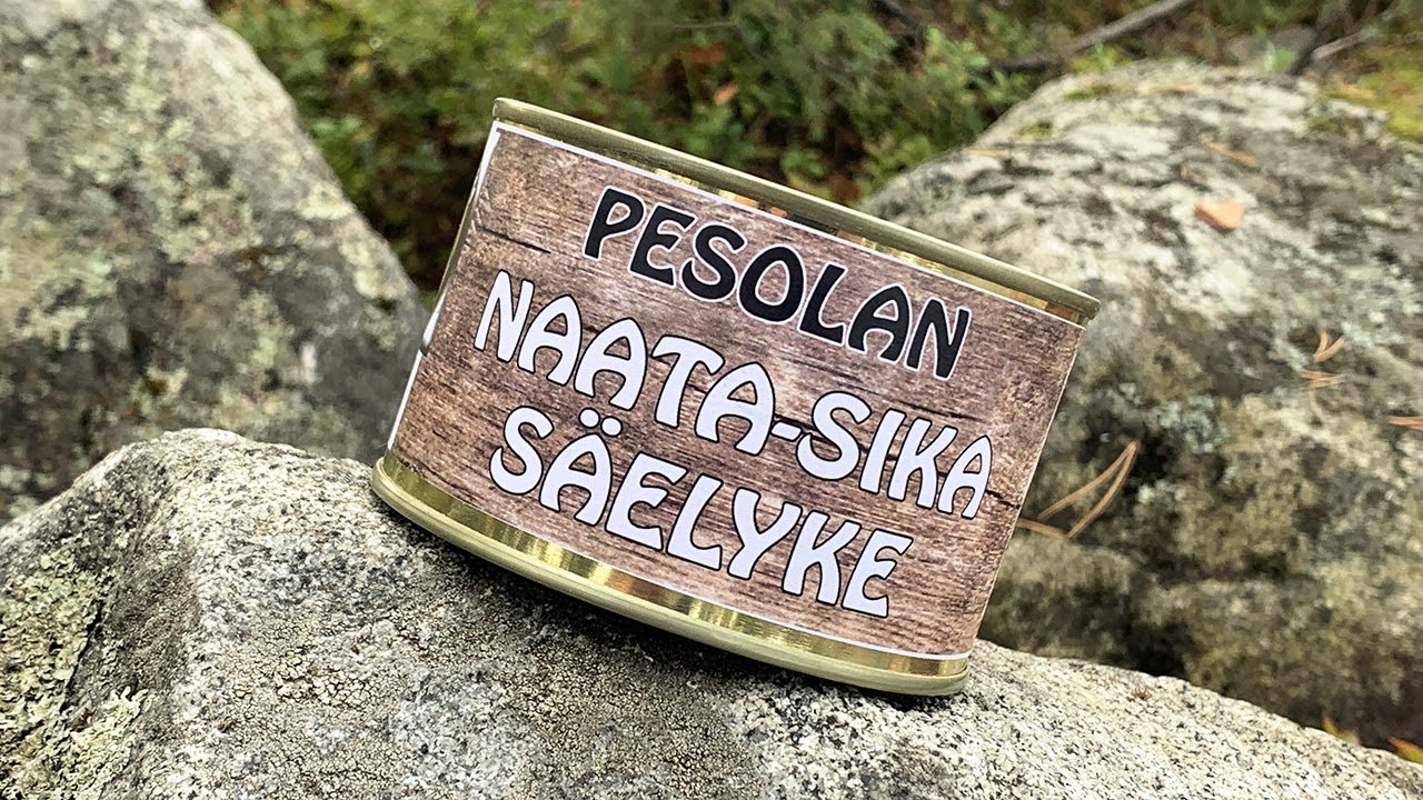 Pesolan naata-sika säelyke