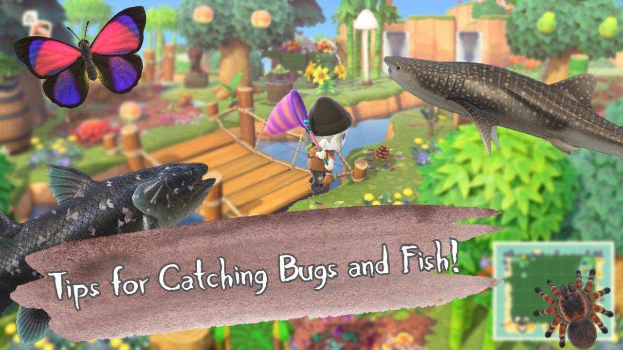 Tips and Tricks to Help You Complete Your Critterpedia! || Animal Crossing New Horizons