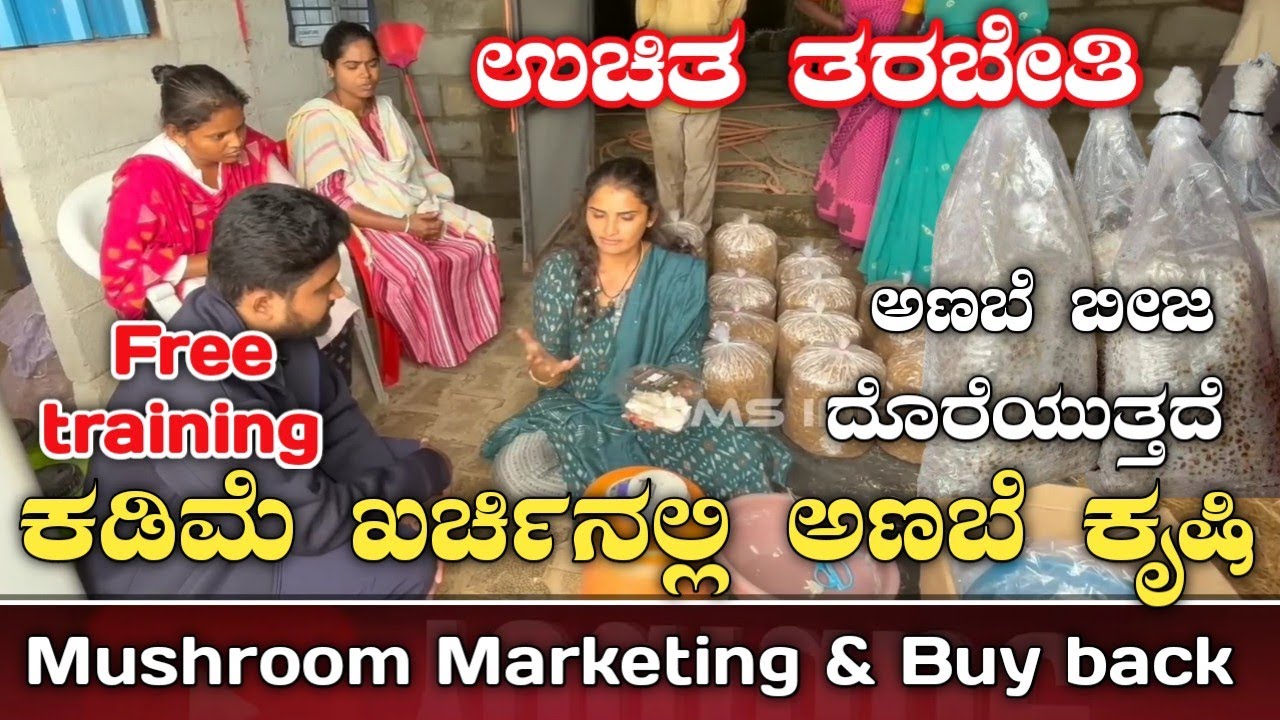Mushroom farming complete tutorial|mushroom cultivation|mushroom farming|mushroom training|anabe|