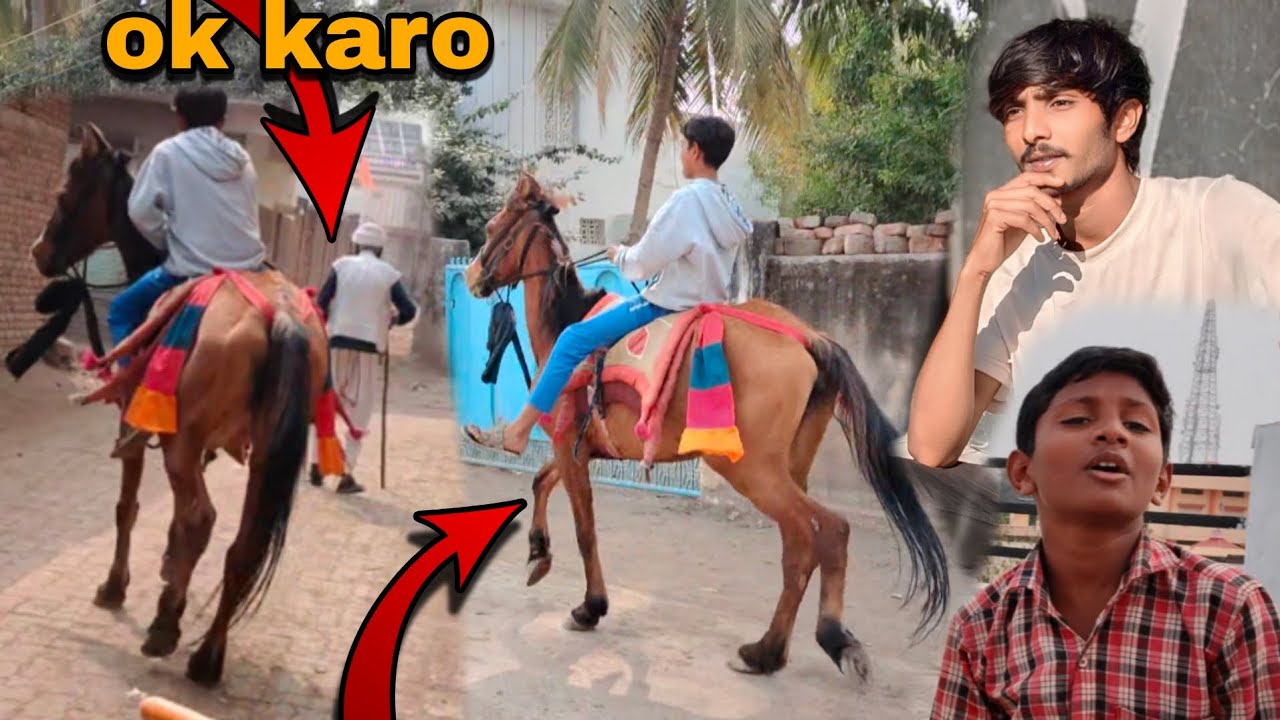 જેનીલે દાદા ને ઉડાડે 😱 ok 