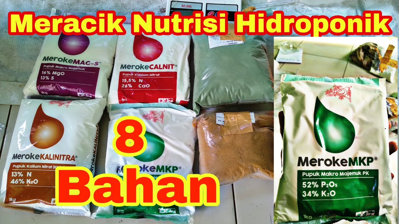 Cara Meracik Nutrisi AB Mix Hidroponik Sayur Daun | Terbaru 2020