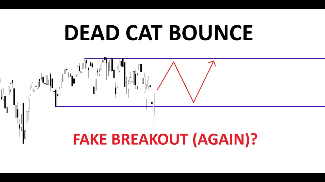 Technical Analysis of Stocks: SPY / QQQ / NVDA / TSLA / AMD / PLTR / AAPL / SOFI