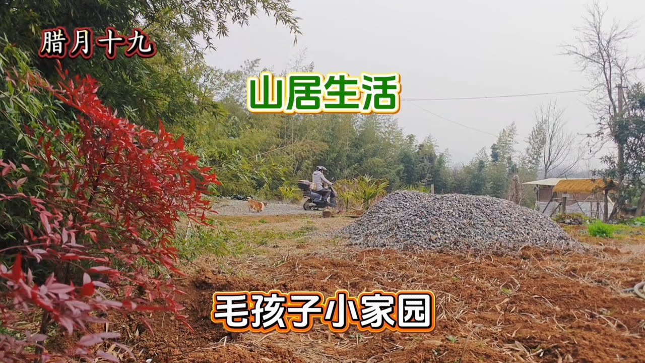 （384）远离城市喧嚣，带着猫猫狗狗躲进农村大山里，收到好心姐姐给我们寄的礼物
