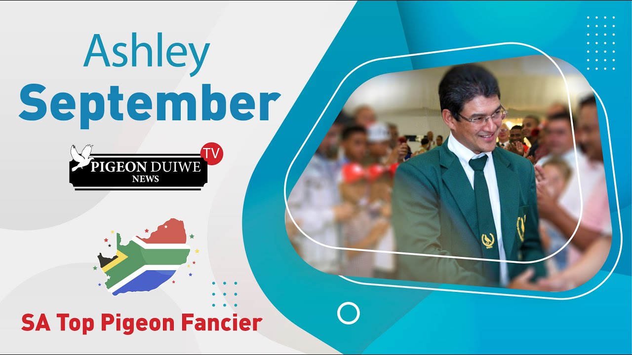 Pigeon Duiwe News TV- Ashley September - SA Top Pigeon Fancier. S1: E17