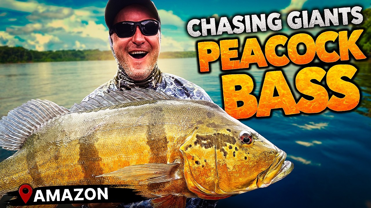 Jungle Fishing for GIANT Peacock Bass - 4 Days in Colombia's Orinoco