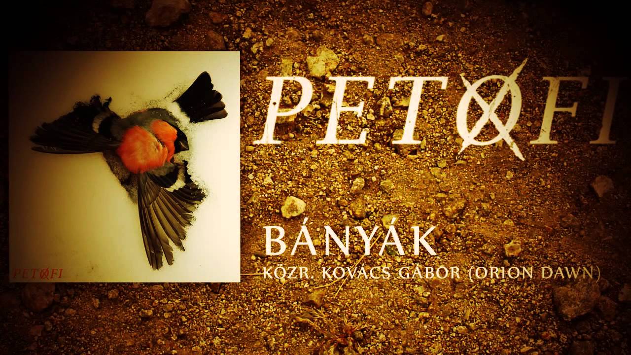 PETOFI - B&aacute;ny&aacute;k k&ouml;zr. Kov&aacute;cs G&aacute;bor (ORION DAWN)