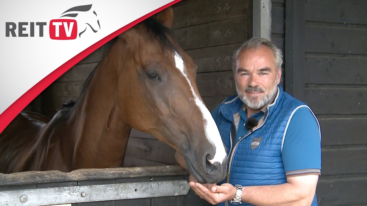 Homestory | Zu Besuch bei Springreiter Alois Pollmann-Schweckhorst