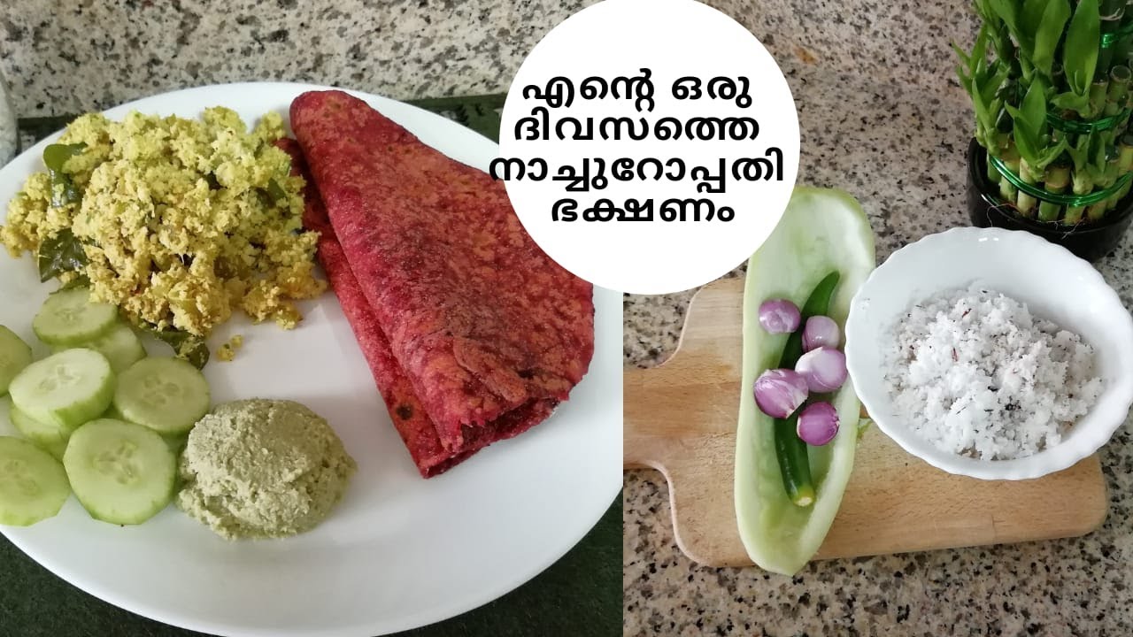 എന്റെ ഒരു ദിവസത്തെ നാച്ചുറോപ്പതി ഭക്ഷണം//Naturopathy Diet// Weight Loss Meal Plan