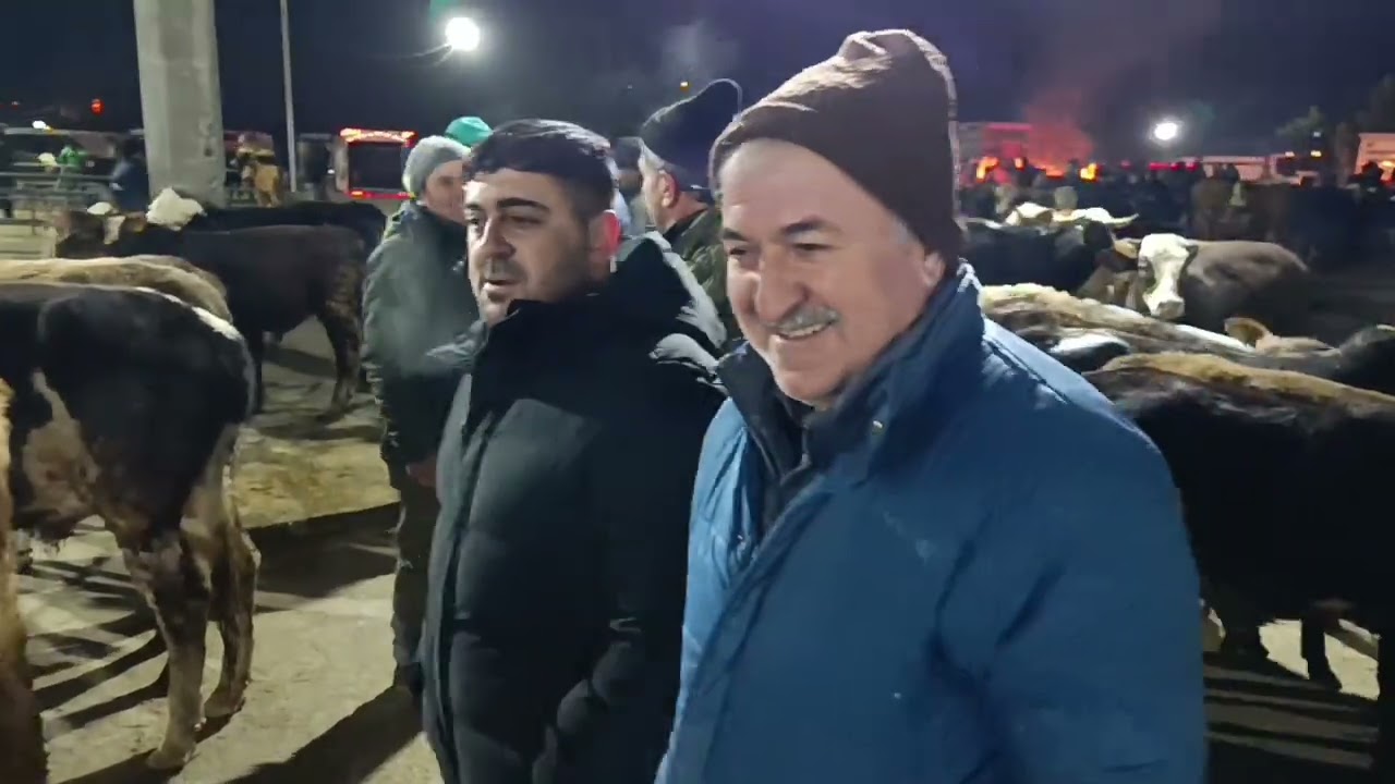 05.03.2026 SORGUN CANLI HAYVAN PAZARI .!!! Piyasanın nabzını biz tutarız #Gıdıklı