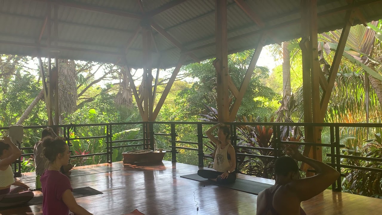 95 minute Vinyasa Yoga Flow Journey Through the Chakras  with Liz Lindh All Levels