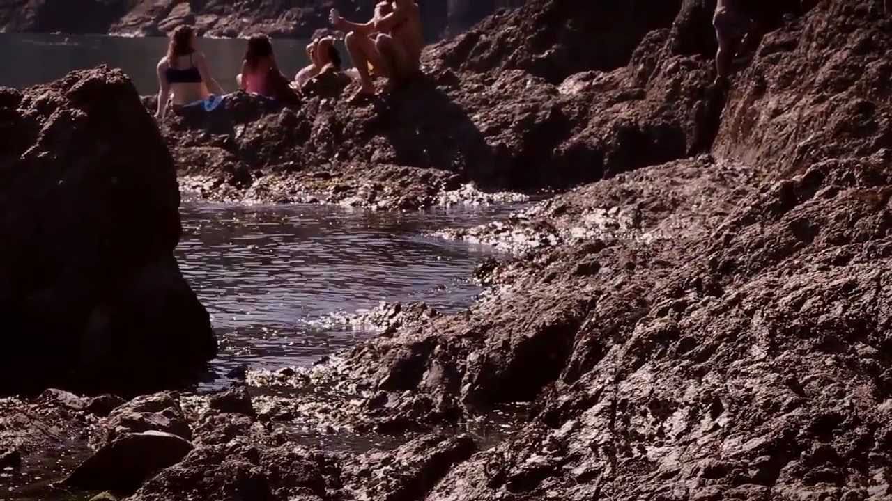 Black Whales - The Doe Bay Sessions
