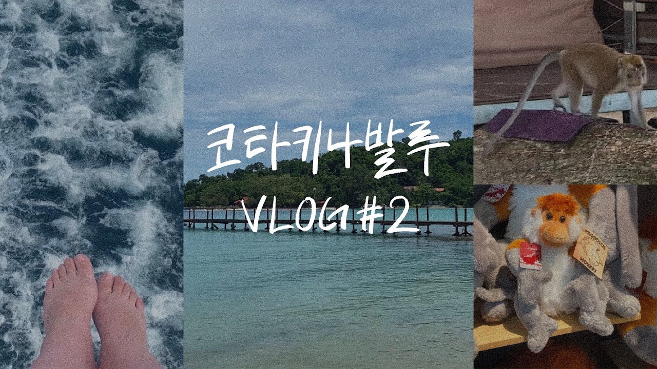 VLOG | 코타키나발루 여행 🇲🇾 (2) 가야 섬 호핑투어, 패러세일링, 원숭이와의 조우, 이마고 몰
