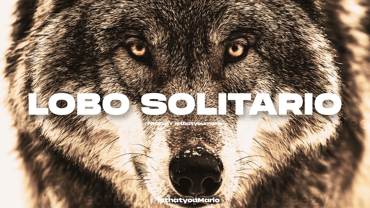 [BASE DE USO LIBRE] Al Safir type Beat - LOBO SOLITARIO