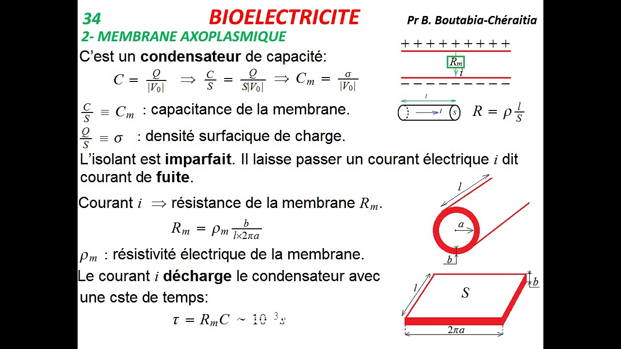 Cours. Bioélectricité (4). 1ère année Médecine. Pr Boutheïna Boutabia-Chéraitia