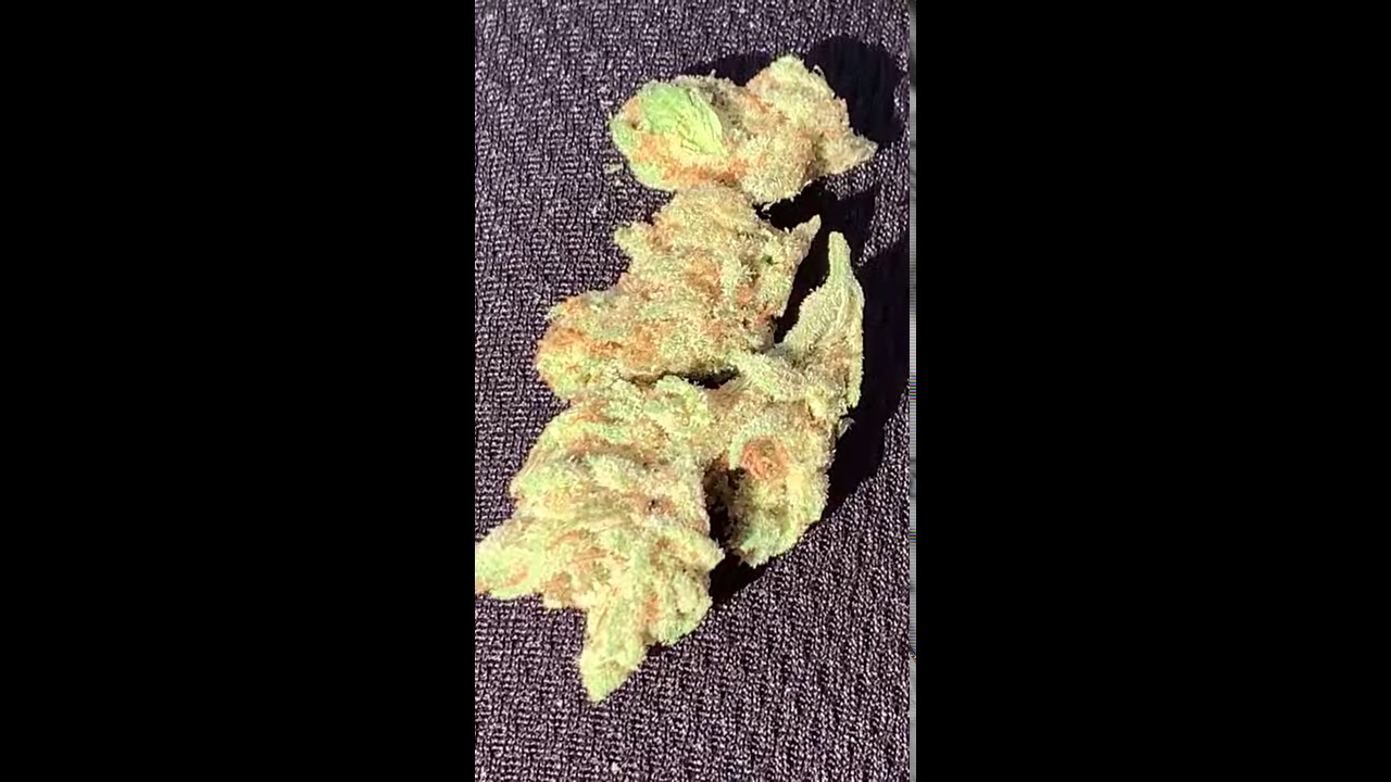 Super silver haze