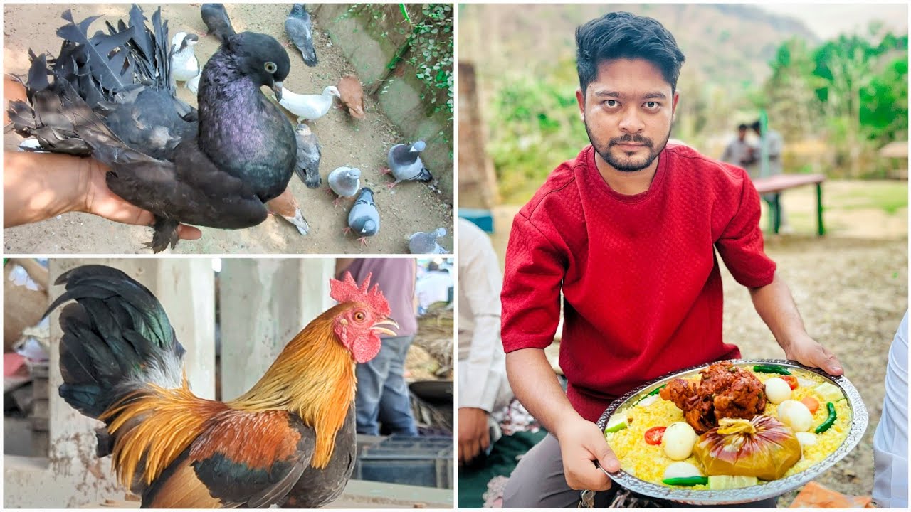 কবুতর বাজারে গেলাম ইফতার করতে 🥗