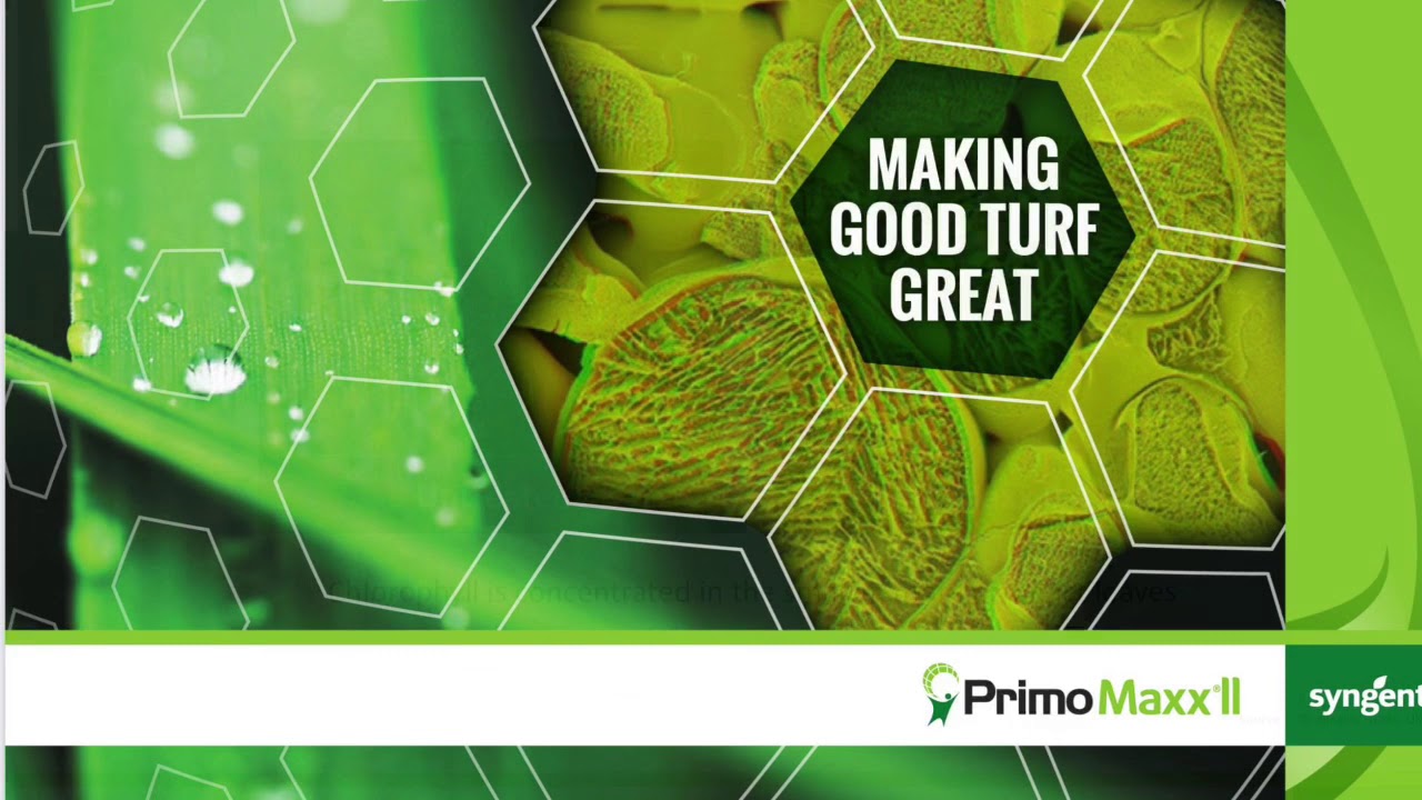 Benefits of Using Primo Maxx II