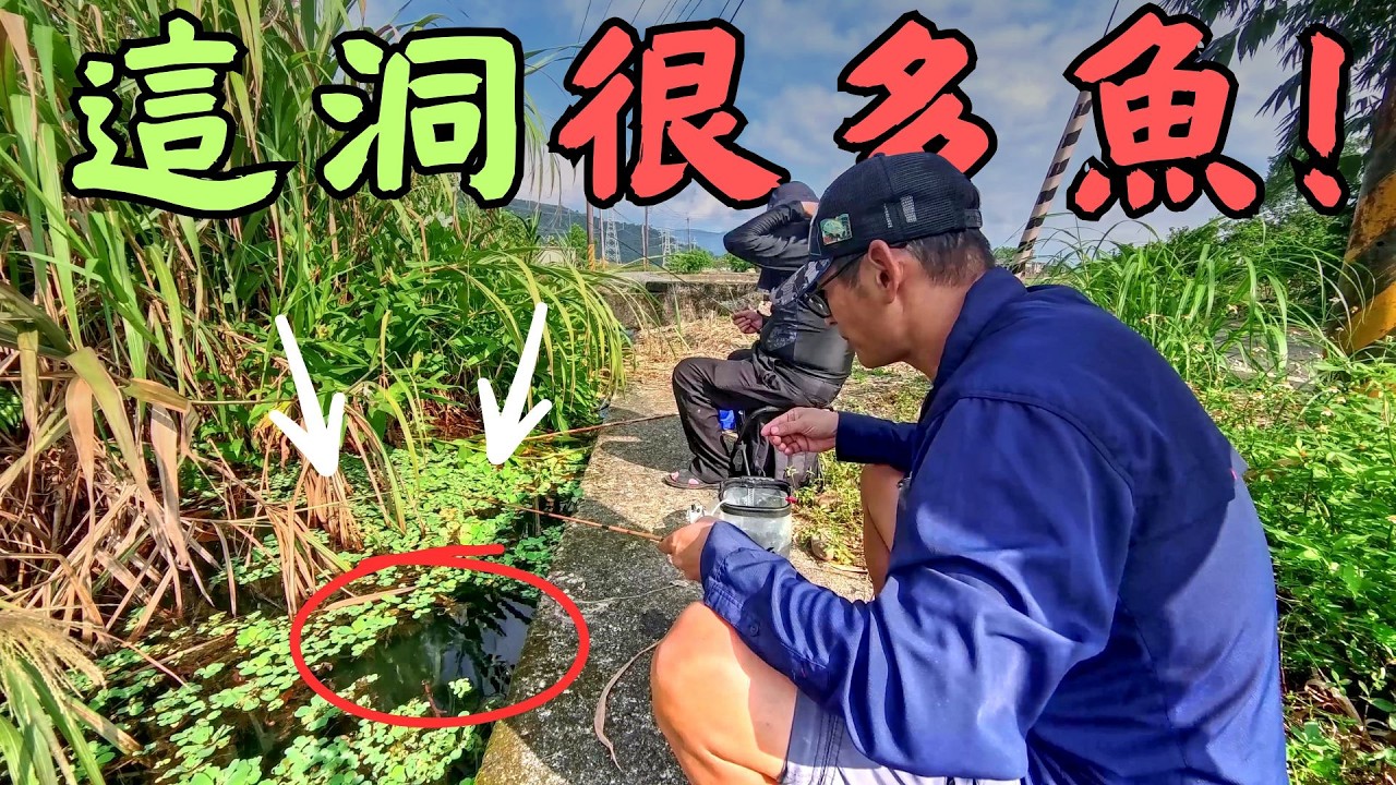 實測「這洞很多魚！」 灌溉水圳的奇蹟！小水溝竟狂拉瀕危小魚？真正的宜蘭釣魚天堂就在這裡！｜Maxcatch｜小物釣｜勇作微物釣工坊｜#fishing #熱門 #推薦