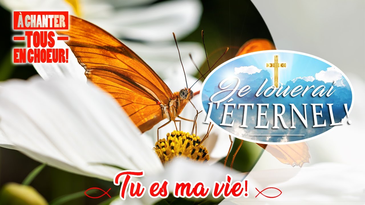 MAGNIFIQUE CHANT D'ESPÉRANCE | qui fortifie notre Foi | 🙏❤️🙏- TU ES MA VIE! -🙏❤️🙏#louange2026 #chant