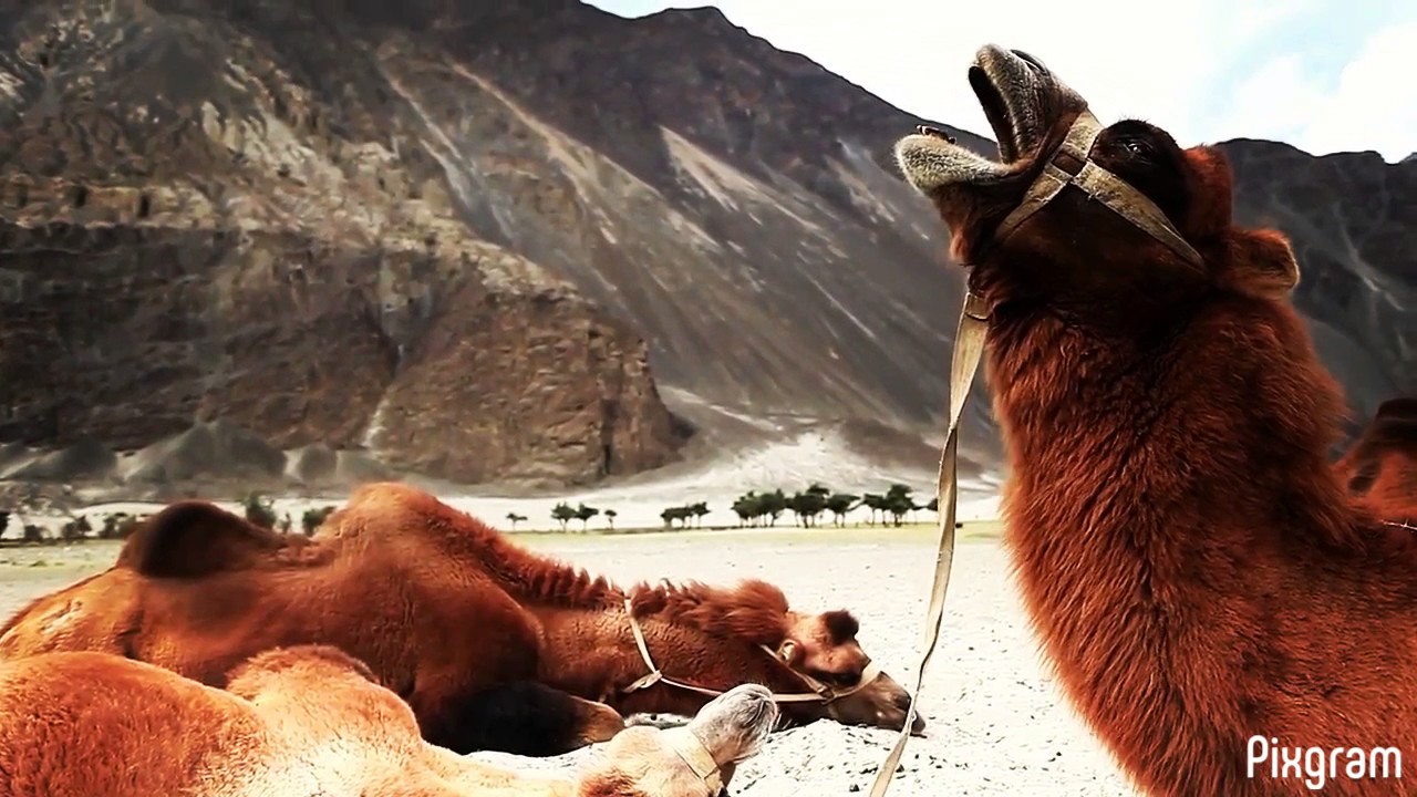 Make my travel memory last forever, the creative video slideshow powered by Pixgram