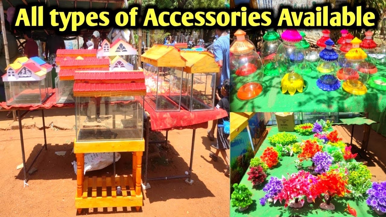 Ponmalai santhai complete tour|  பொன்மலை சந்தை #fish#dogs#birds#animals#market#xplorewithvj PART - 1