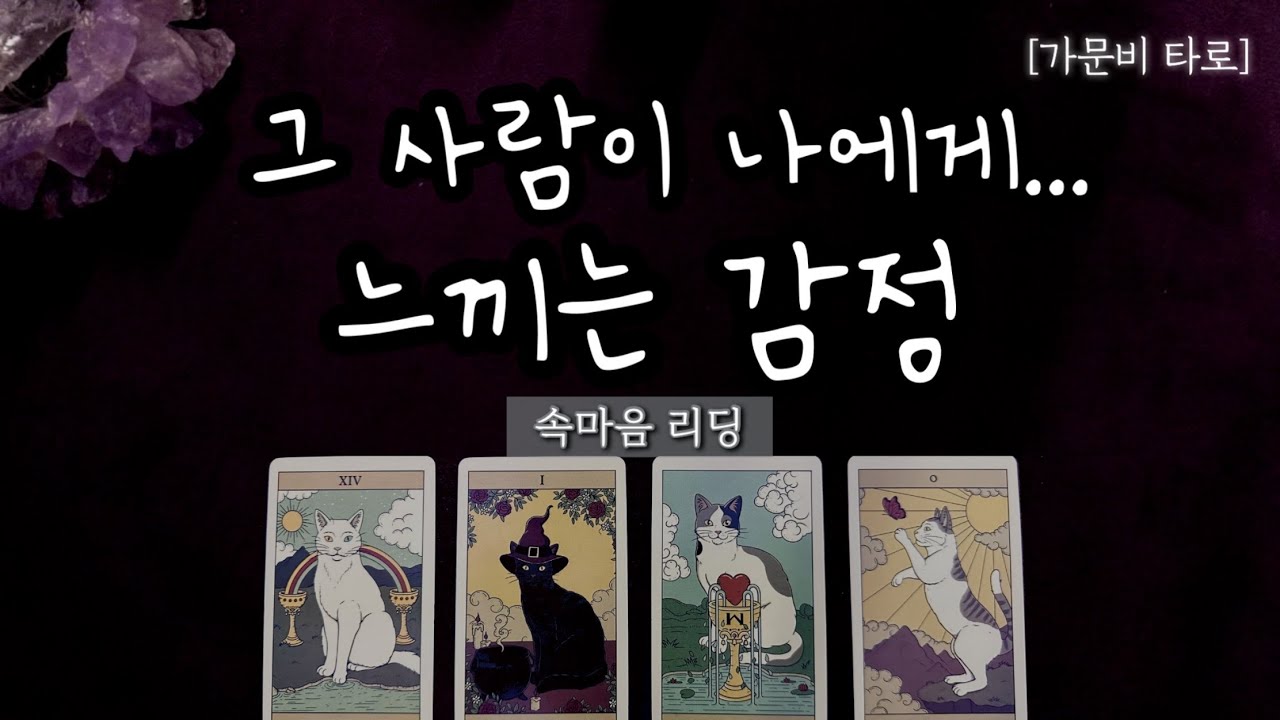 그 사람이 나에게 느끼는 감정💫속마음리딩