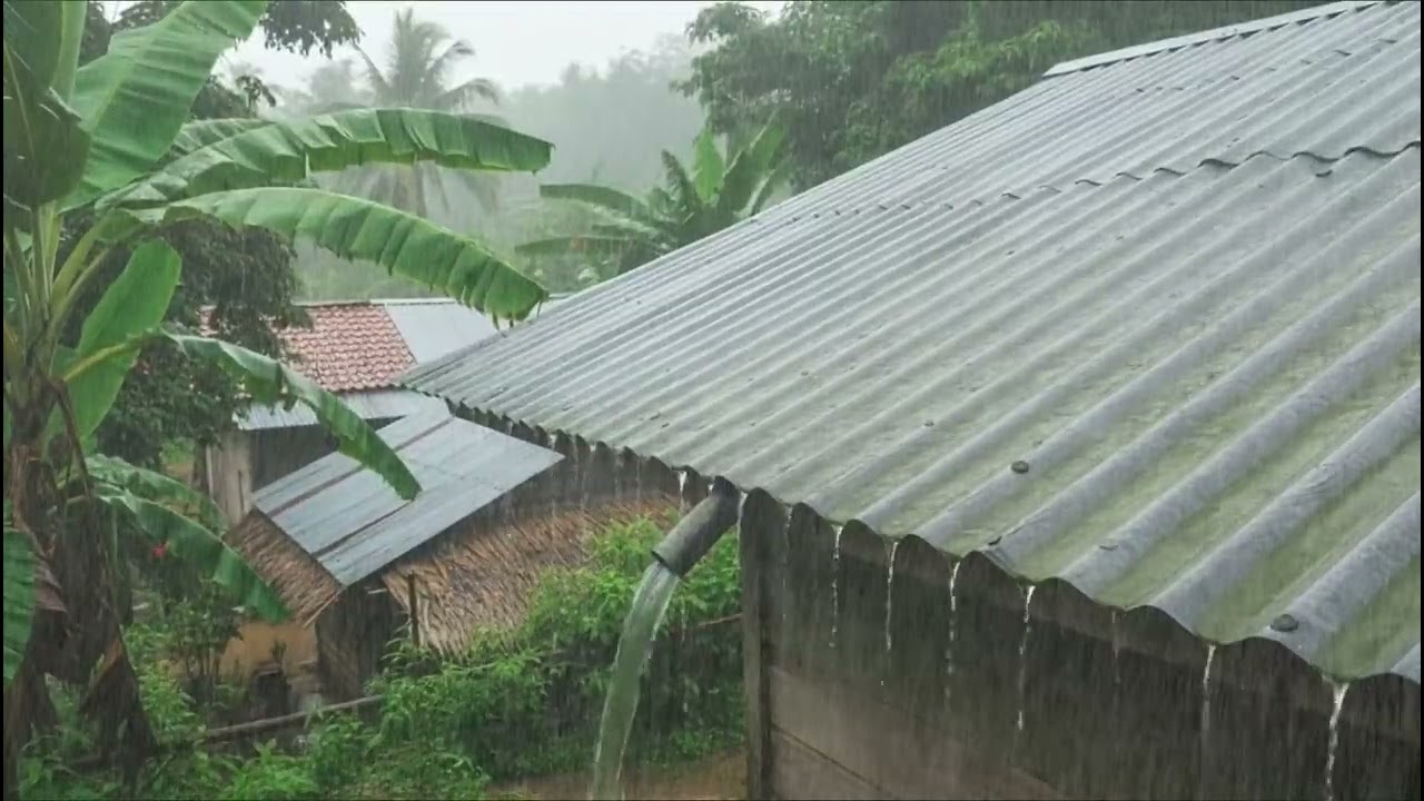 Gentle Rain Sound on Metal Roof, Stress Relief