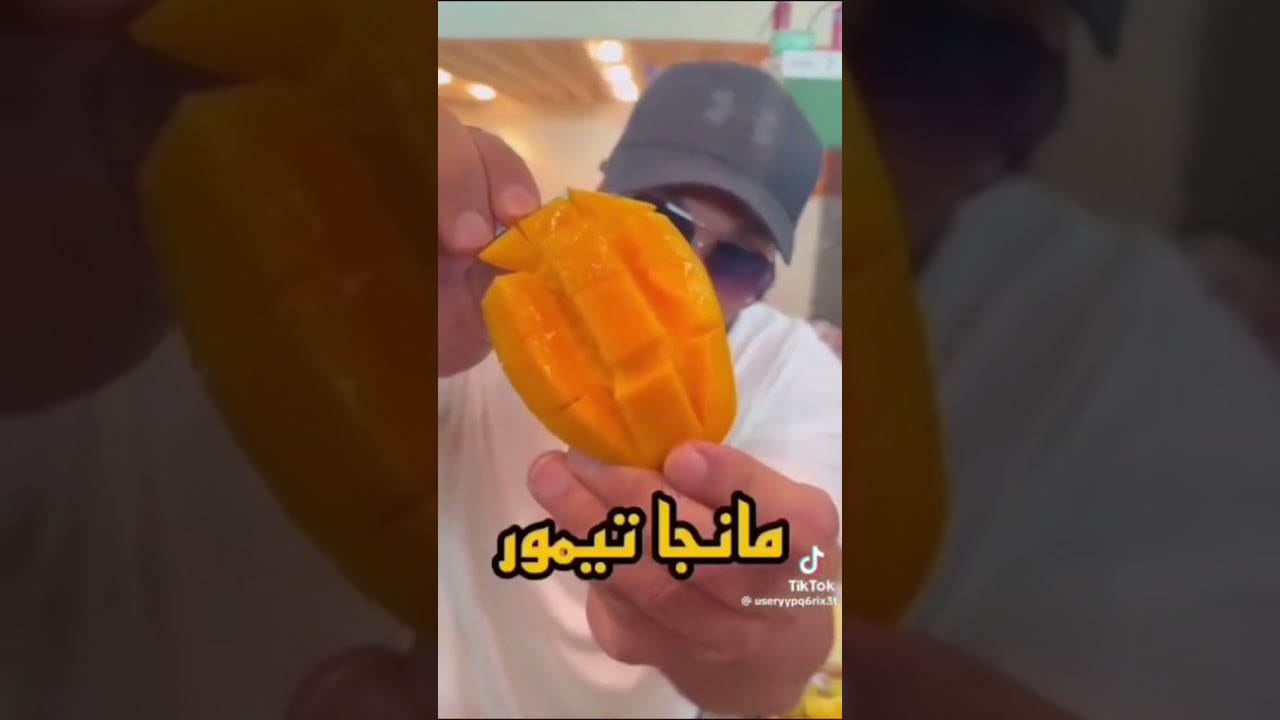 ٦ يناير ٢٠٢٦
